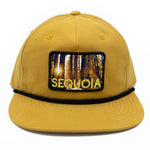 National Park Hat - Sequoia Camper